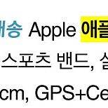 애플워치 7 41mm