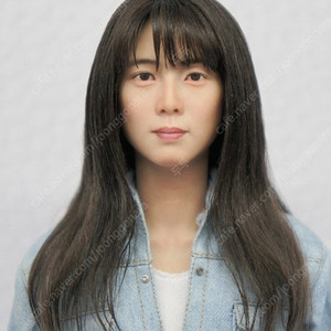 (구매)슈미아츠 자드 식모헤드구합니다.