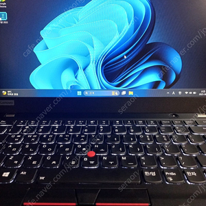 레노버 씽크패드 T490s 노트북