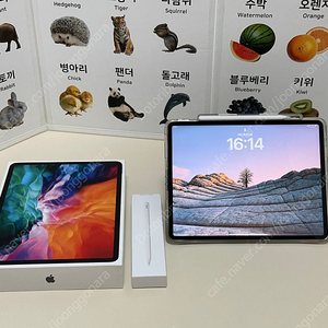 아이패드 프로 12.9 256g 셀룰러 + 애플펜슬 2세대