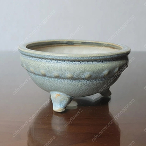 분재화분.다육화분.야생화분.~천광분