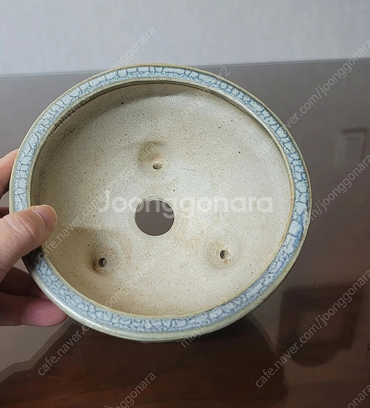 분재화분.다육화분.야생화분.~천광분--4