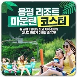 모나 용평리조트~루지~마운틴코스터~애니포레~워터파크종일권~바로사용 모바일티켓