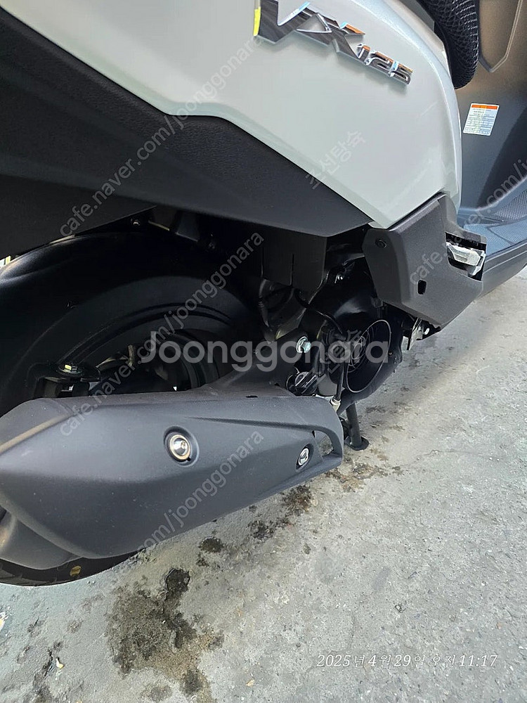 DNA VX125--2