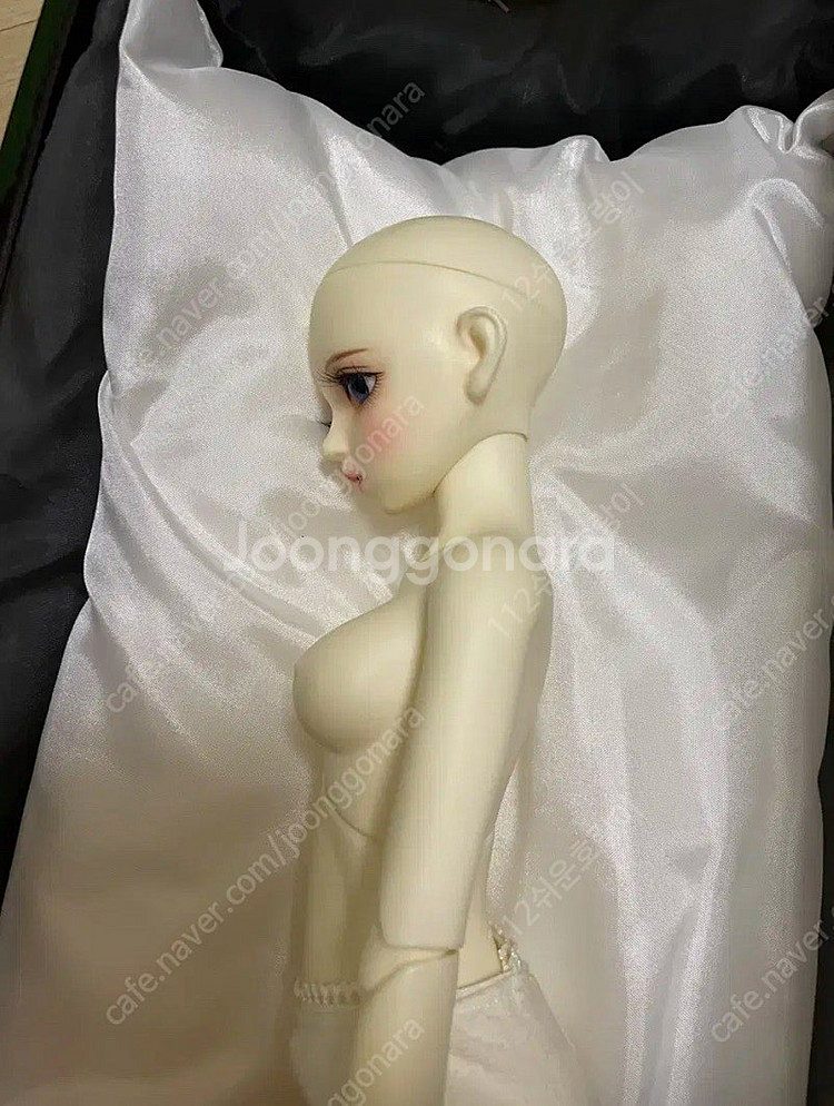 구체관절인형--2
