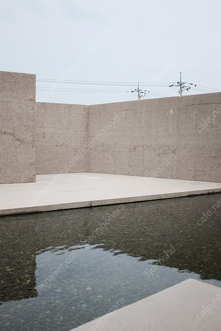 후지필름 X100T--8