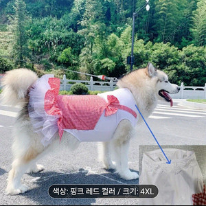 중대형견 레드체크원피스 4xl (20~30키로)