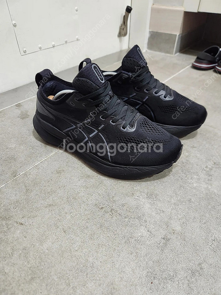 젤카야노31 판매--2