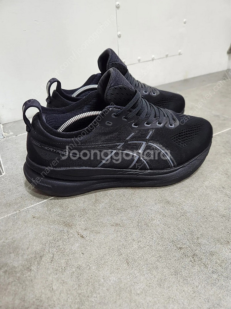 젤카야노31 판매--3