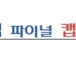 문병일 퍼펙트경제 삽니다.(+ 정치와 법, 경제 파이널 캡틴 모의고사 삽니다.)