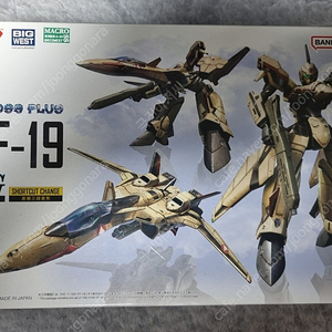 hg yf-19 + yf-21 (습식데칼 포함 합) 양도합니다