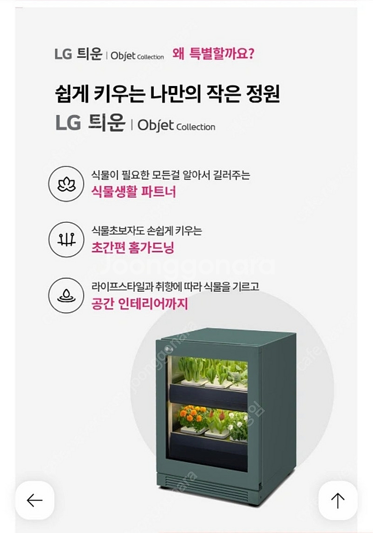 LG틔운 식물재배기 판매합니다--4