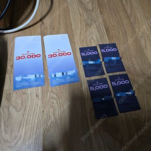 넥슨캐시 쿠폰 80000원 판매합니다. (30000원 2매 + 5000원 4매)