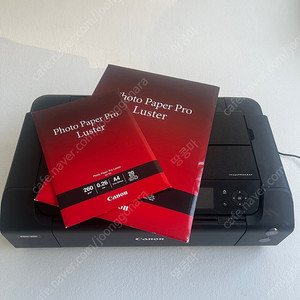 캐논 프로300 Canon pro300