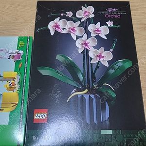 레고 10311 난초 미개봉 판매합니다