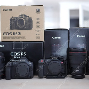R5mark2 알오막투, RF24-105F4, R5C,