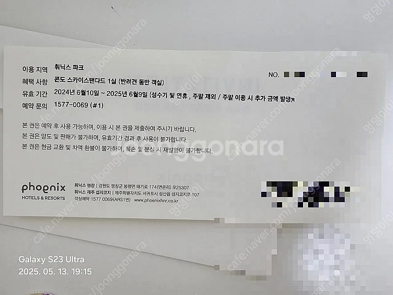 급처) 애견동반 반려견동반 휘닉스파크 스카이스탠다드--1