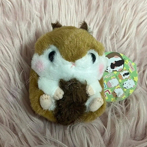 정품 새상품 어뮤즈 다람쥐 인형 햄스터 코로하무코론 산리오 산엑스 일본 어뮤즈인형 햄토리 햄스터 다람이 다람쥐 고전문구 고잔완구 동물인형