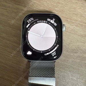 애플워치 10 실버 46mm 새상품급