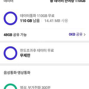 skt데이타 2기가