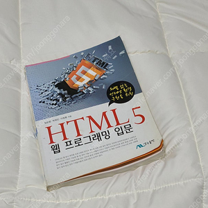 HTML5 웹 프로그래밍 입문 생능 싸게팝니다