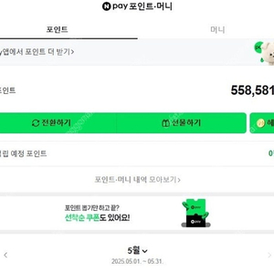 네이버 포인트 55만>45만에 팝니다