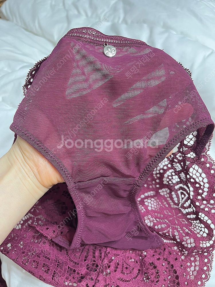 메종르자비 여성 속옷/에블린/섹시 레이스망사--4
