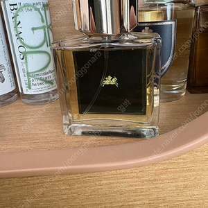 니샤네 아니x 50ml