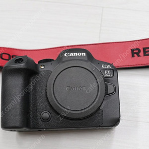 캐논 R6 MARK2​ RF 35mm F1.4 VCM , 24-105L , 15-30 , 24-105STM , RF 16mm F2.8 STM , RF 28mm F2.8 STM ,3