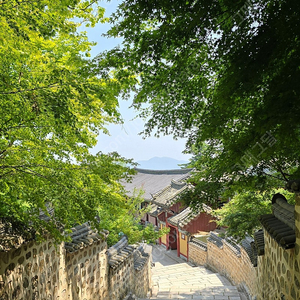 스타벅스 프리퀀시 구매 합니다