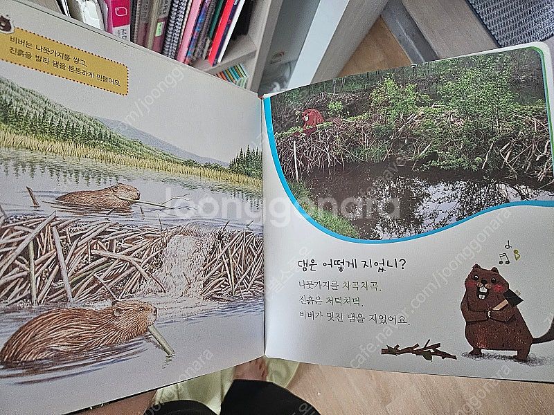쫑알이 자연관찰전집(20번없음.세이펜잇고정상ㆍ충전기없음...--1