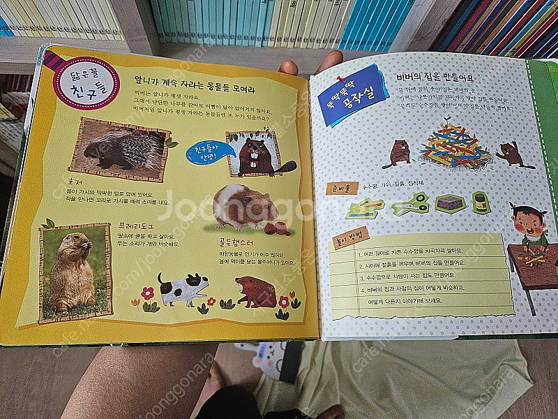 쫑알이 자연관찰전집(20번없음.세이펜잇고정상ㆍ충전기없음...--2