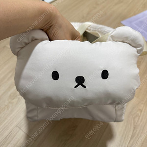 강아지 애견 기내가방 이동가방 카시트