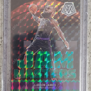 NBA 농구카드 Lebron doncic KD Giannis 프리즘