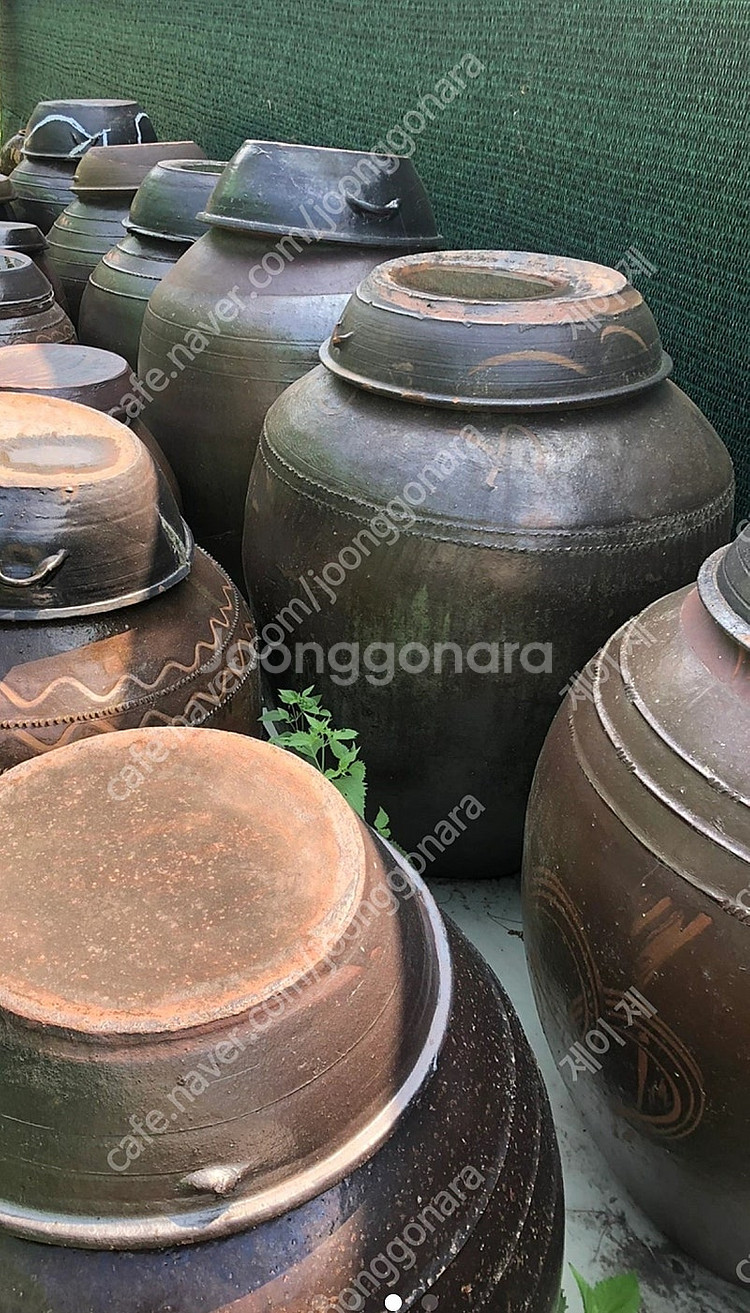 전통 항아리 ,배뿔뚝이 항아리 옛날항아리--1