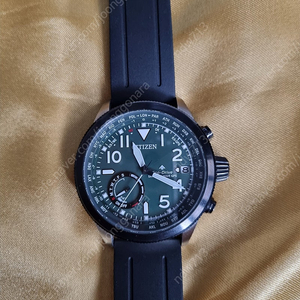 시티즌 cc3060
