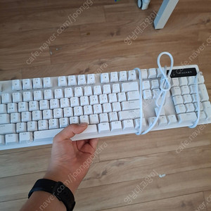 앱코 k560기계식 키보드 적축 팝니다