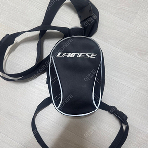알파인스타 다이네즈 힙색,레그백 팝니다