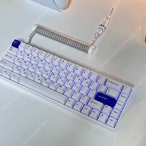 Teamwolf Raven 68 HE 8K RT 자석축 게이밍 키보드