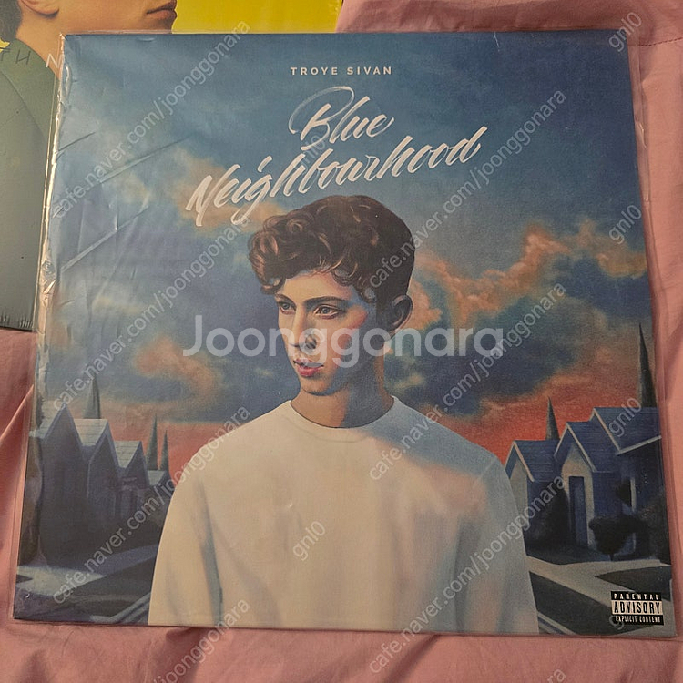트로이 시반 Blue Neighbourhood LP 블...--0