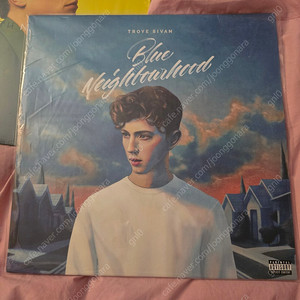 트로이 시반 Blue Neighbourhood LP 블랙반