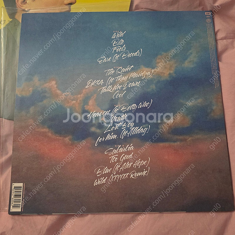 트로이 시반 Blue Neighbourhood LP 블...--1