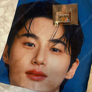 (새것) 변우석 담요 + 팔도비빔면 그립톡 일괄