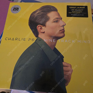 찰리 푸스 Nine Track Mind 투명LP