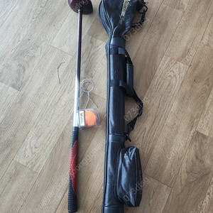 노스웨이 풍신.파크골프채