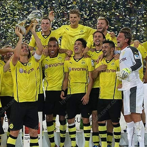 2013~2014년 도르트문트 축구 홈 유니폼 사이즈 95 판매합니다.