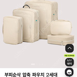 브랜든 압축 파우치 2세대 일괄 판매