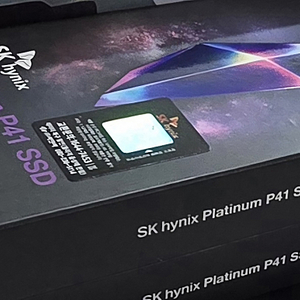SK하이닉스 Platinum P41 M.2 NVMe (1TB)