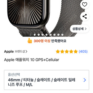 애플워치 10 티타늄 슬레이트