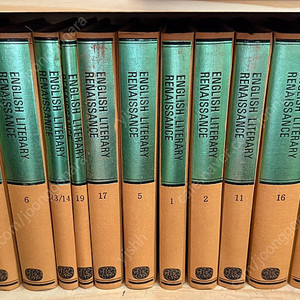 영문학 르네상스 English literary renaissance 20권 영문학박사